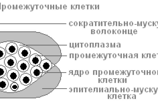 Kraken маркетплейс как зайти